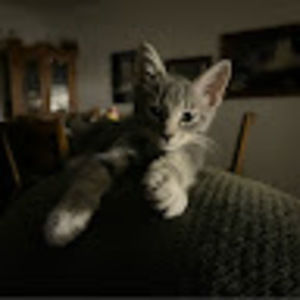 Meet your Posher, Anna